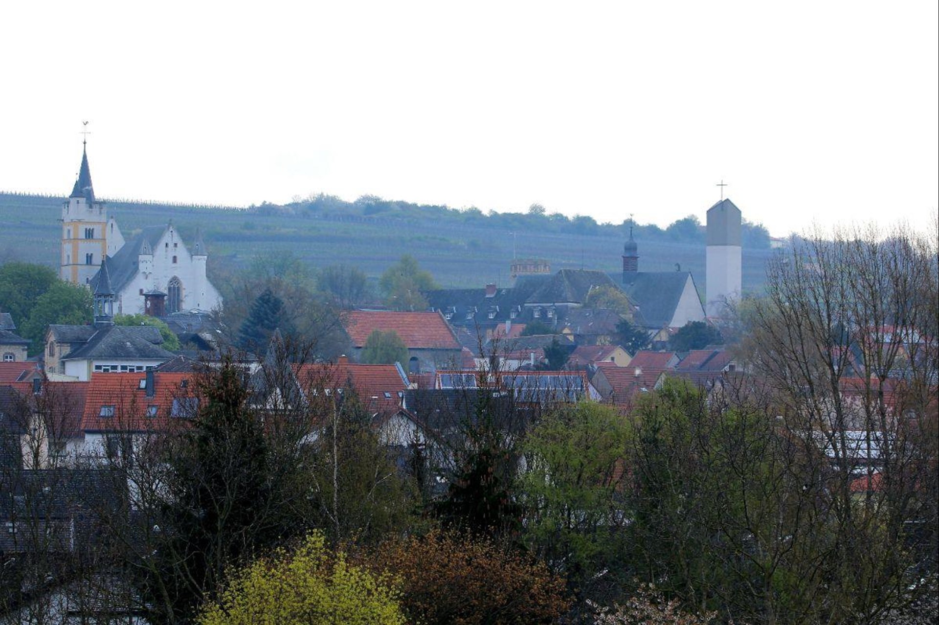 Die Kirche St. Michael in Ober-Ingelheim mit Dorfansicht